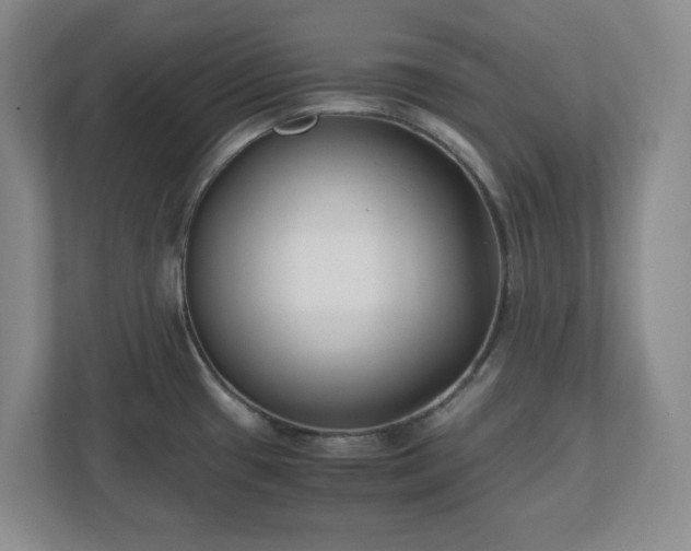 X0000110771433200906221133