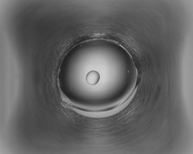 X0000110771441200906221133