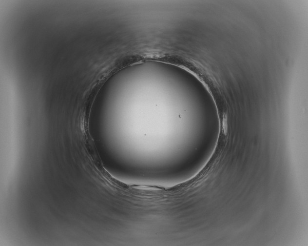 X0000110771444200906221133