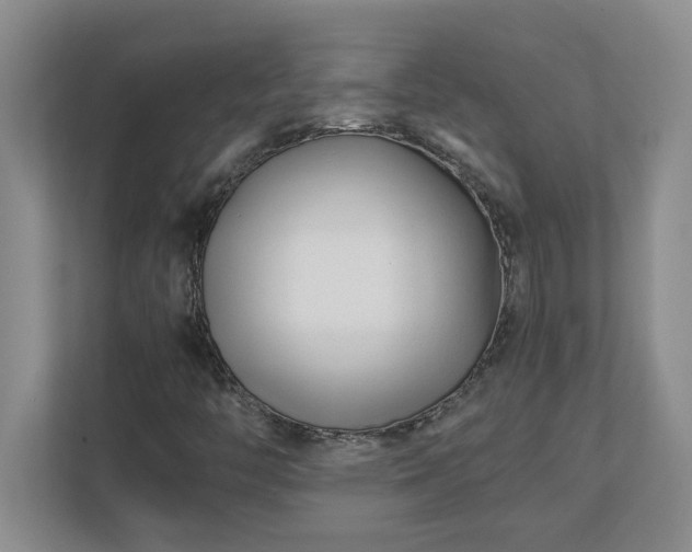 X0000110771446200906221132