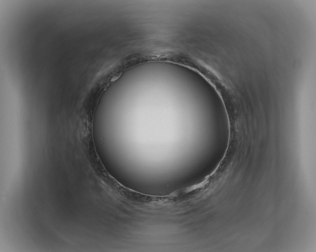 X0000110771447200906221132