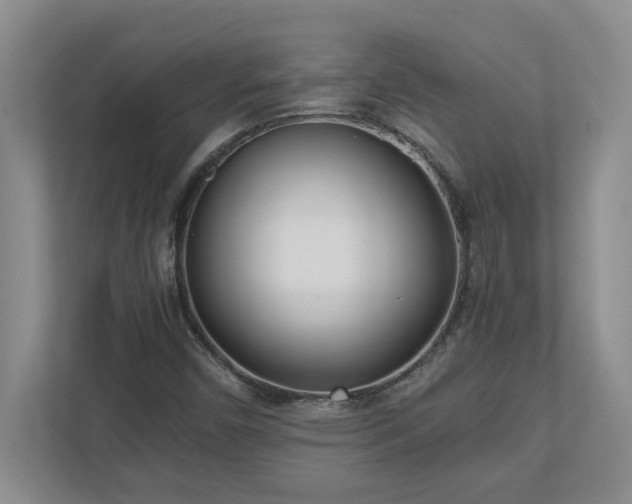 X0000110771450200906221132