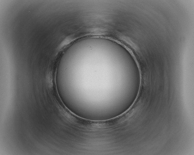 X0000110771451200906221132