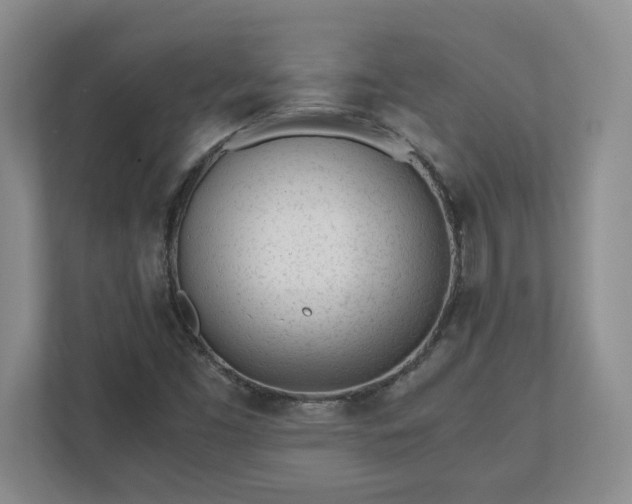 X0000110771453200906221132