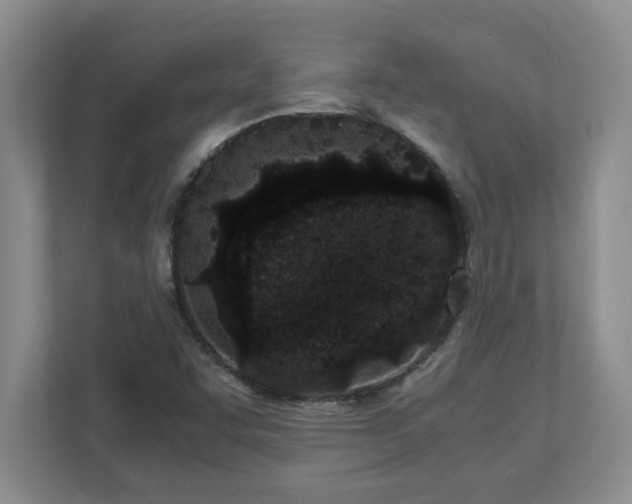 X0000110771455200906221132