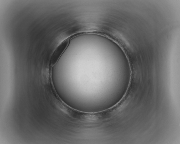 X0000110771457200906221132