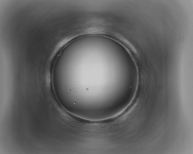 X0000110771461200906221132