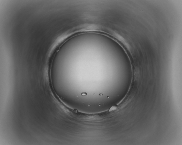 X0000110771464200906221132