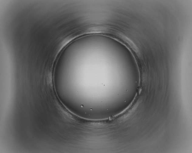 X0000110771465200906221132