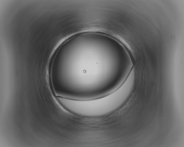 X0000110771468200906221132