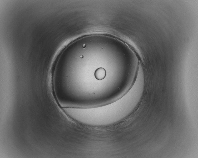 X0000110771472200906221132