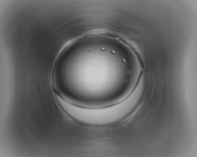 X0000110771473200906221132