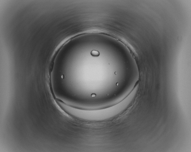 X0000110771476200906221132