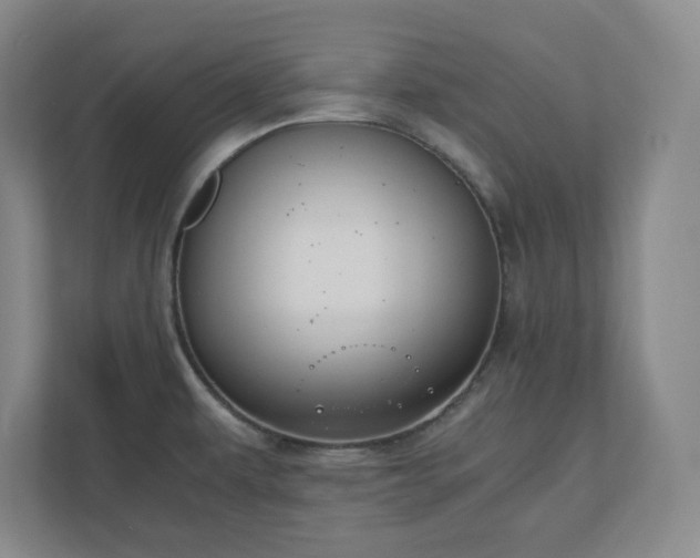 X0000110771479200906221132