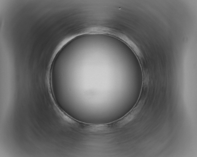 X0000110771486200906221132