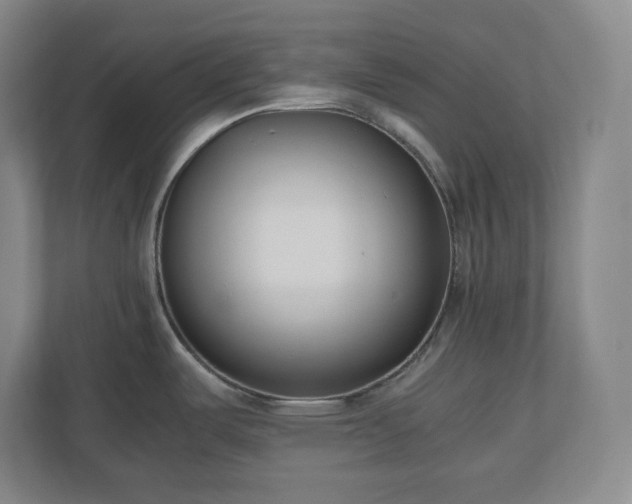 X0000110771487200906221132