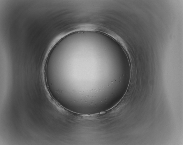 X0000110771488200906221132