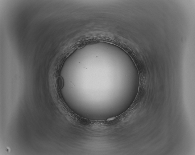 X0000110771489200906221131