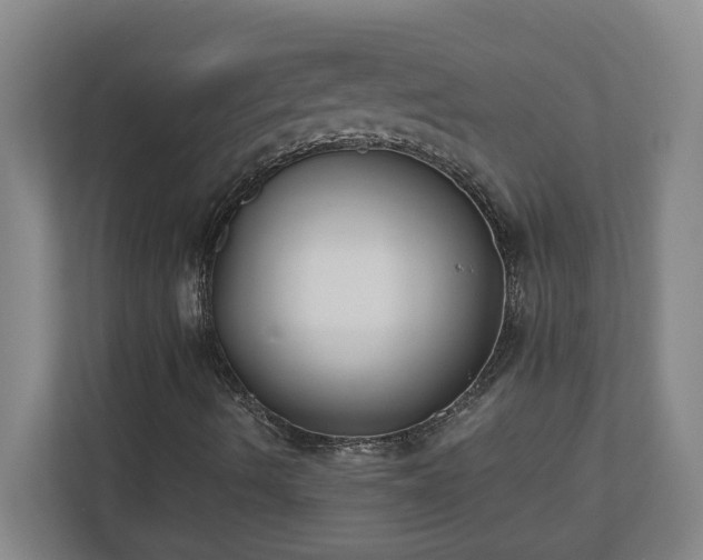 X0000110771490200906221131