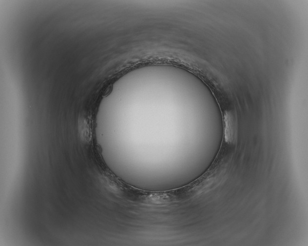 X0000110771491200906221131