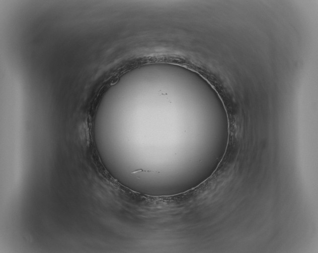 X0000110771493200906221131