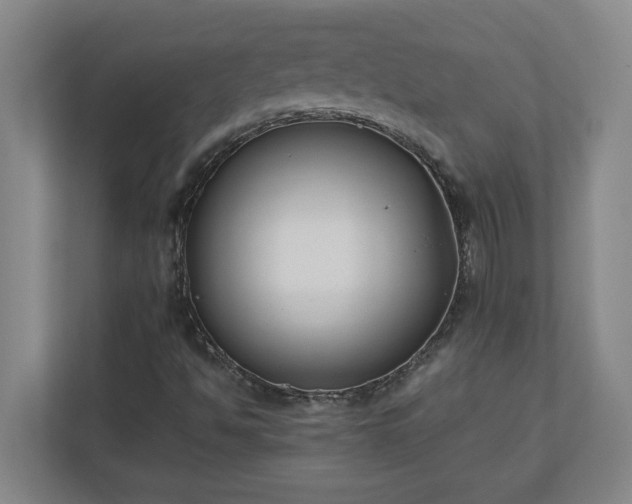 X0000110771494200906221131