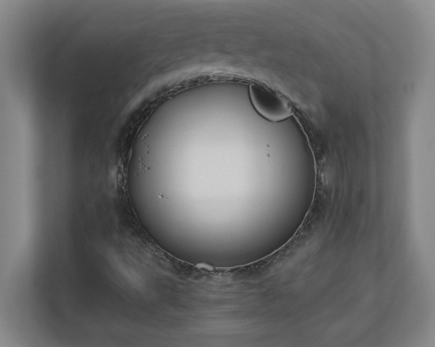 X0000110771495200906221131