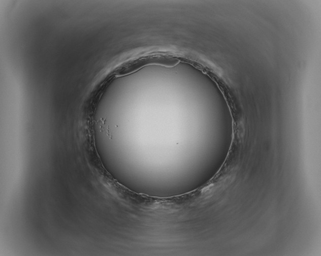 X0000110771496200906221131