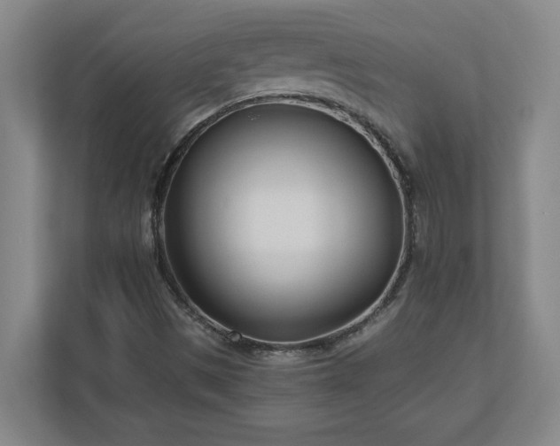 X0000110771497200906221131