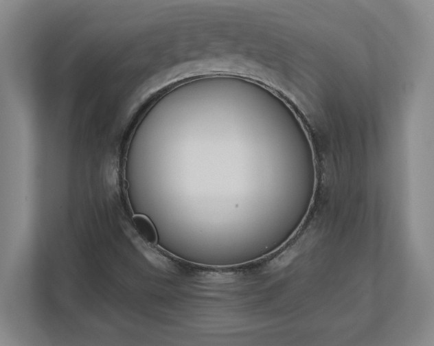 X0000110771499200906221131