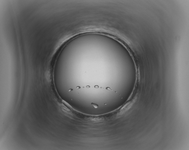 X0000110771501200906221131