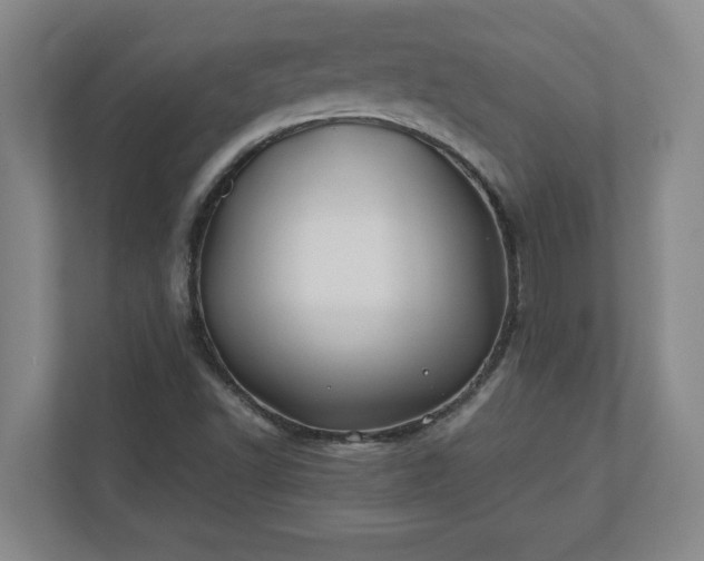 X0000110771502200906221131