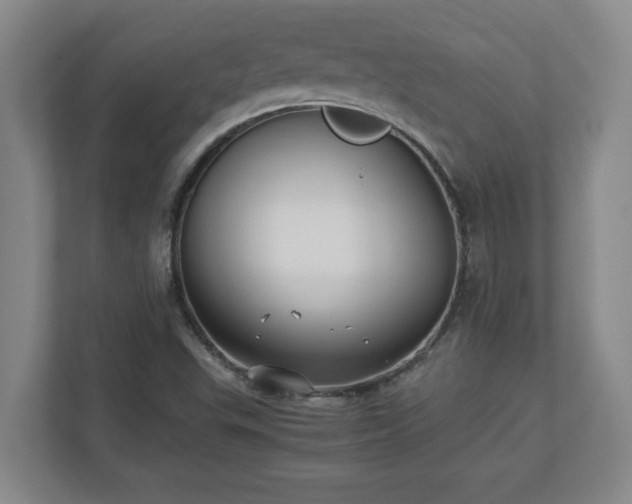 X0000110771503200906221132