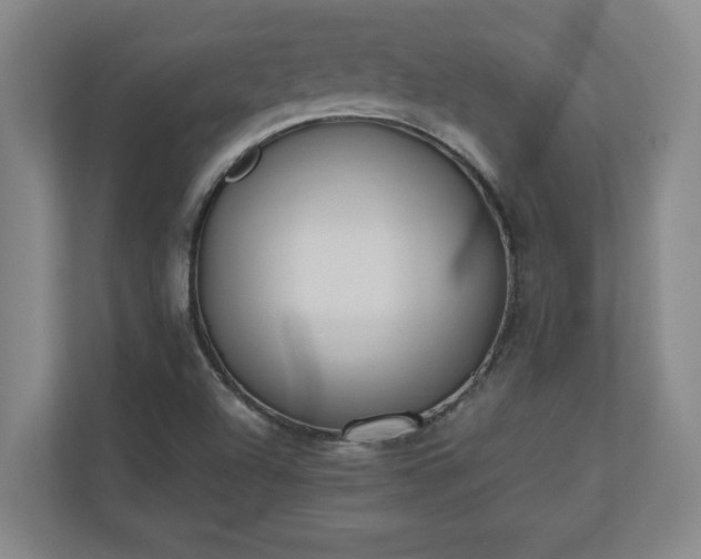 X0000110771504200906221132