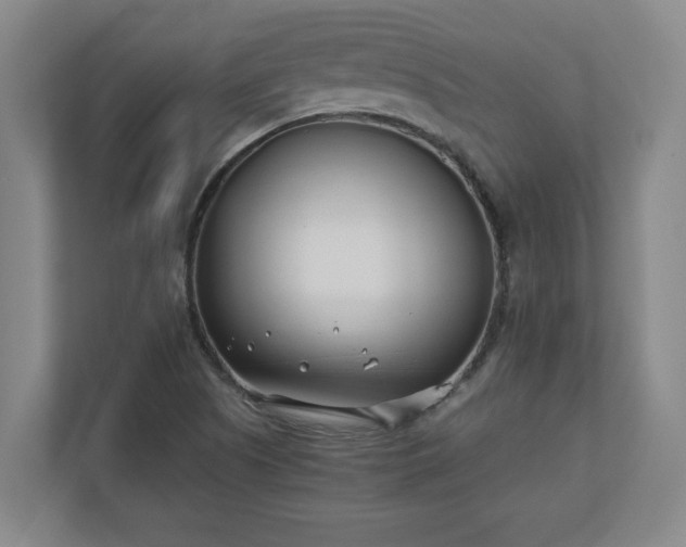 X0000110771505200906221132