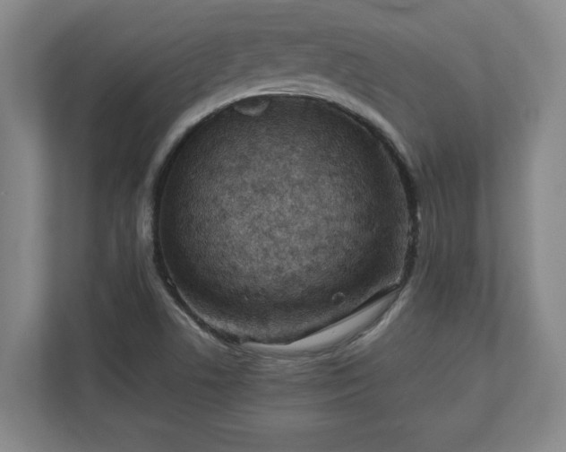 X0000110771506200906221132