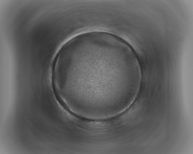 X0000110771508200906221132