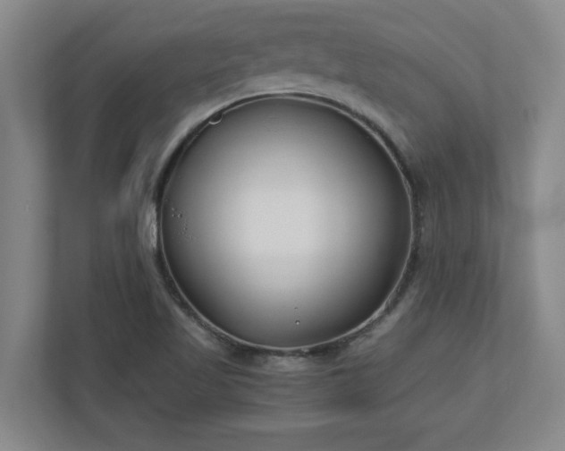 X0000110771509200906221132