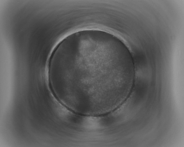 X0000110771514200906221132