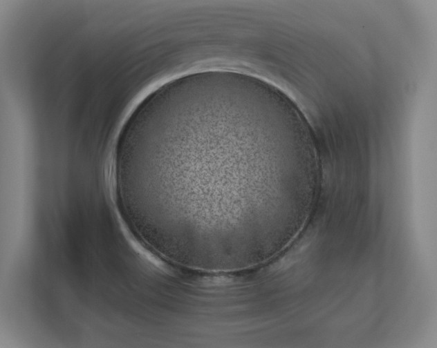 X0000110771515200906221132