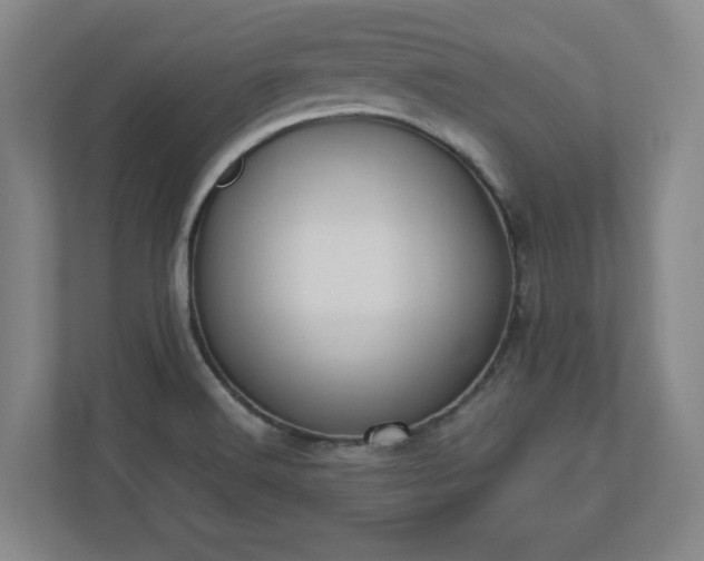 X0000110771516200906221132