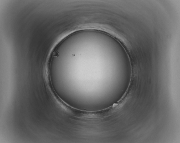 X0000110771517200906221132