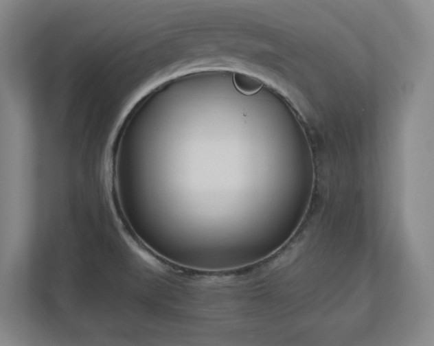 X0000110771519200906221132