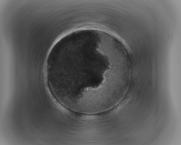 X0000110771522200906221132