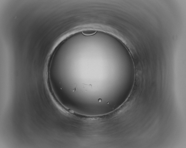 X0000110771523200906221132