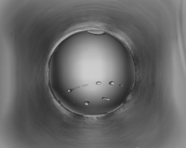 X0000110771524200906221132