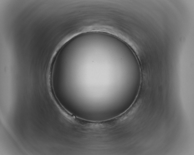 X0000110771525200906221132