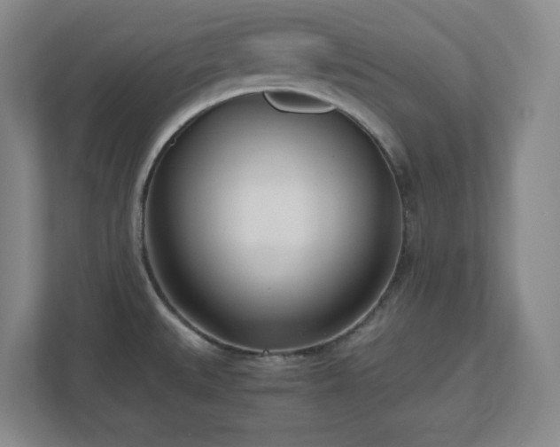 X0000110771527200906221132