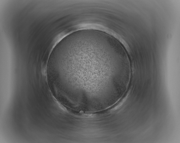 X0000110771529200906221132