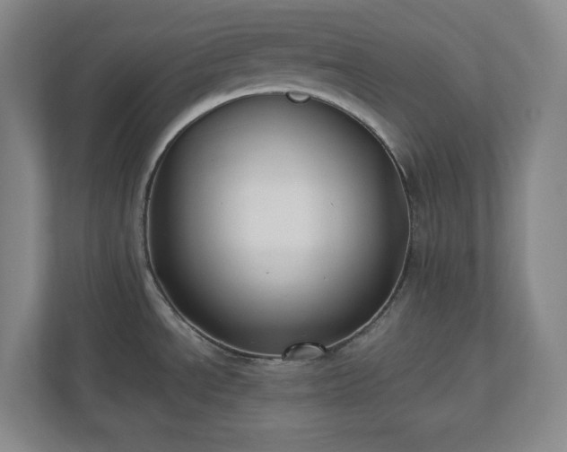 X0000110771534200906221132